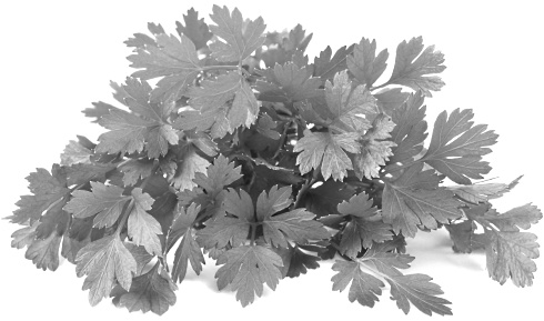 How a flavonoid in parsley boosts testosterone levels