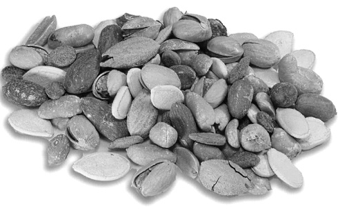 Nuts and peanuts make you a little slimmer