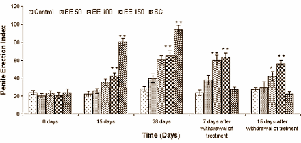 Testosterone level rise from Pedalium murex may be permanent