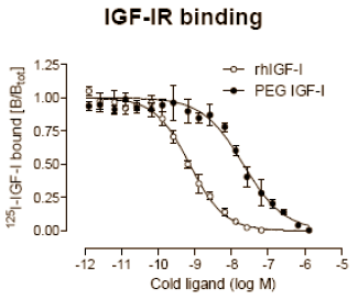 PEG-IGF-1: improved IGF-1 analogue