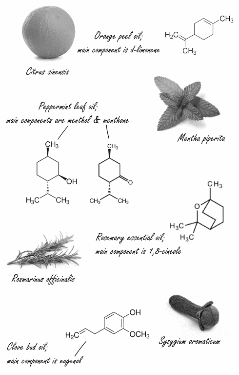 Inhaling essential oils after workout speeds recovery and improves performance