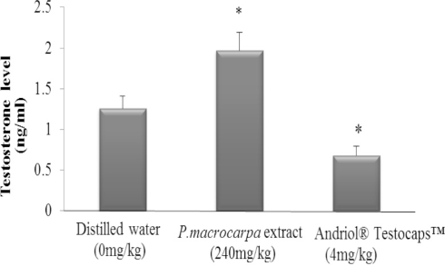 Phaleria macrocarpa: more testosterone, more fertile