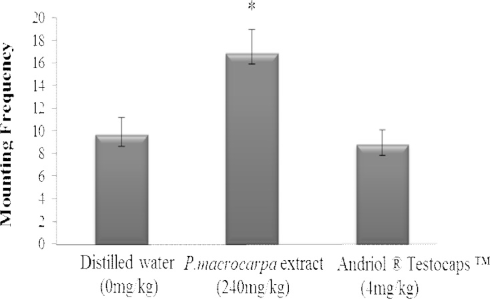 Phaleria macrocarpa: more testosterone, more fertile