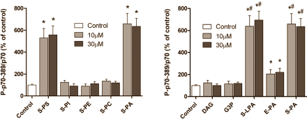 Only phosphatidic acid from soya speeds up muscle growth