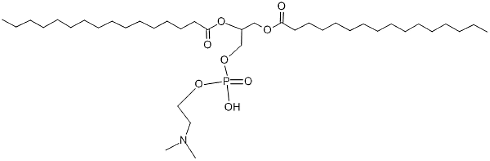 Just occasionally it's possible to determine your dreams. Then, you can even manage to fly, just like Superman, you can speak the truth to your boss, become world famous, whatever. By taking dimethylamino-ethanol, or DMAE for short, you can increase the chances of this happening.
