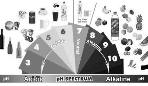Alkaline diet improves high-intensity sports performance