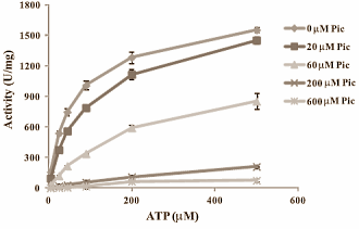 Taking a supplement that contains piceatannol, a metabolite of resveratrol, may reduce fat mass and increase lean body mass. We base this speculation on Asian in-vitro studies, which have shown that piceatannol inhibits the uptake of glucose by fat cells but stimulates its uptake by muscle cells.