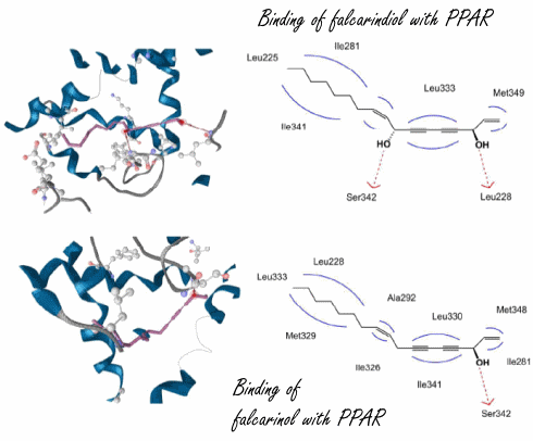 Polyacetylenes for diabetics (and bodybuilders)