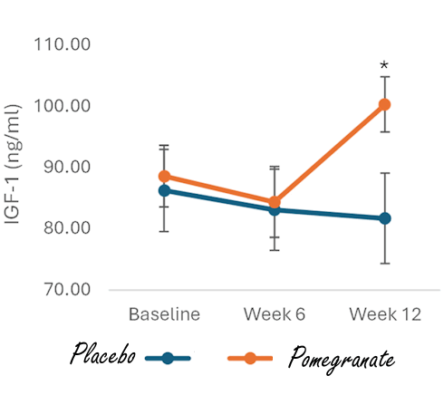 Pomegranate supplement increases IGF-1 levels