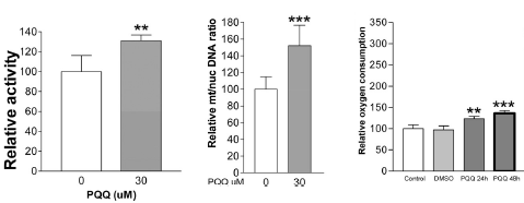 Why PQQ delays aging (and speeds up fat loss)