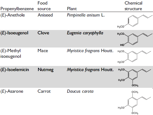 Do dietary amphetamines play a role in the Christmas feeling?