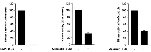 How propolis blocks skin aging