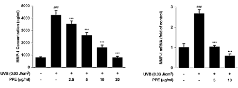 How propolis blocks skin aging