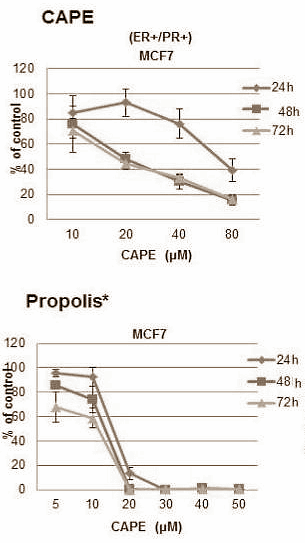 Propolis is a sticky substance that bees make and which they use to seal the inside of their hives. Supplements manufacturers put the same propolis into capsules and tablets intended to stimulate the immune system. Researchers at New York University may now have discovered a new application for propolis. In the Journal of Cancer Science and Therapy they describe how propolis in theory can protect women against breast cancer.