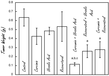 Curcumin and ursolic acid starve prostate cancer cells