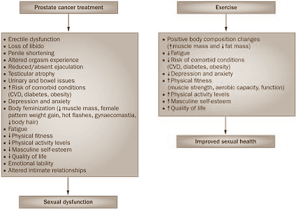 Men who are taking anti-androgens for prostate cancer don't necessarily have to say goodbye to sex. Australian sports scientists at Edith Cowan University come to this conclusion in a human study published in Prostate Cancer and Prostatic Diseases. If men on anti-androgens also do strength training, their sex life can continue as normal.