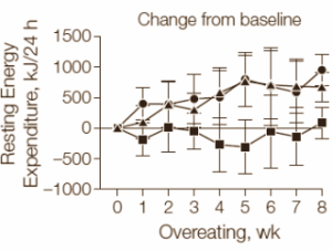 Weight gain from eating more protein: more lean body mass, not more fat