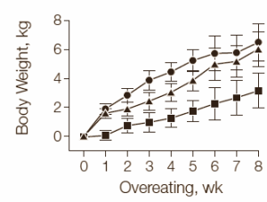Weight gain from eating more protein: more lean body mass, not more fat
