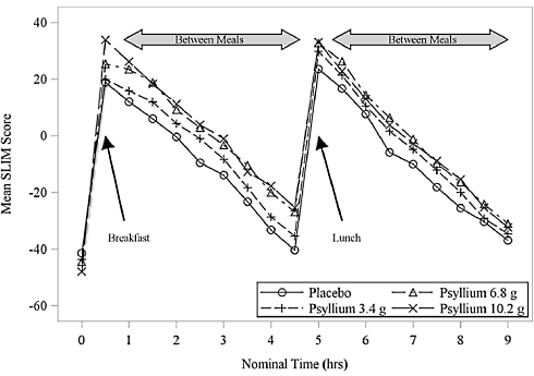 Psyllium boosts chance of successful weight loss