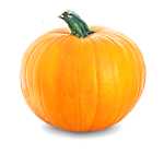Pumpkin boosts endurance capacity and muscle strength