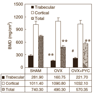 Pycnogenol keeps your bones strong