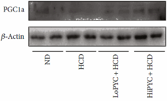 Obituaries reveal the secret of a long life: religion
