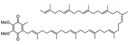 At this dose, Q10 supplementation increases insulin sensitivity
