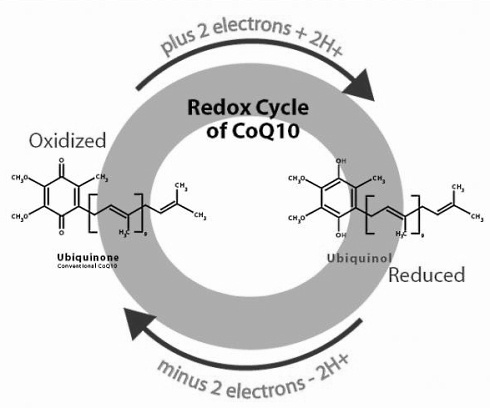 Over 65? A high Q10 level gives you a healthy heart and well-functioning muscles