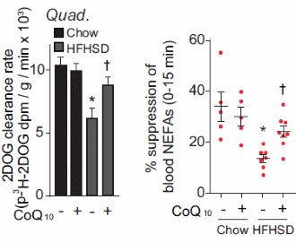 Q10 makes cells more sensitive to insulin