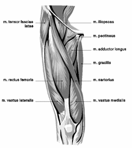 This way of doing the leg press protects your knees against injury