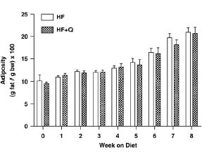 Course of quercetin raises metabolism