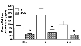 Course of quercetin raises metabolism