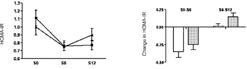 Successful weight loss diet? Quinoa ecdysteroids help you stay slim
