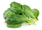 Lutein, the anti-cancer compound from kale and spinach