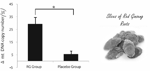 Supplementation with three grams of ginseng per day increases the number of mitochondria in your cells