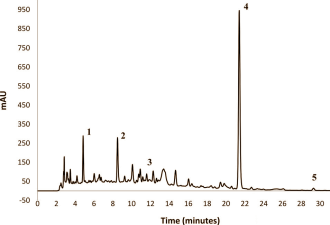 Red wine boosts testosterone level