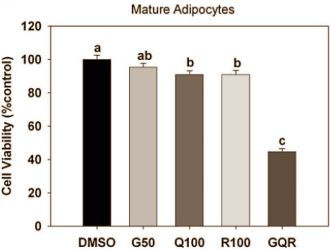 The joint anti-obesity effect of genistein, resveratrol and quercetin