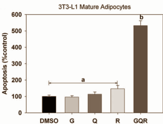 The joint anti-obesity effect of genistein, resveratrol and quercetin