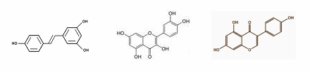 The joint anti-obesity effect of genistein, resveratrol and quercetin