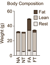 Confining the time in which you eat makes you slimmer