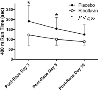 Vitamin B2 reduces muscle breakdown during ultramarathon and speeds up recovery