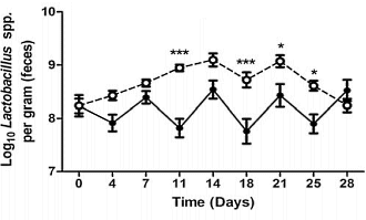 Rice bran stimulates the production of IgA antibodies
