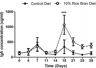 Rice bran stimulates the production of IgA antibodies