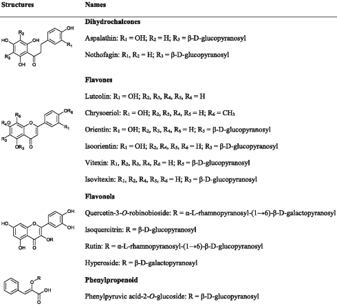 Does rooibos induce fat loss?
