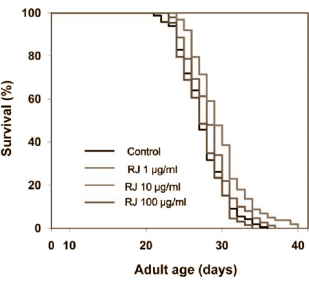 Animal study: Royal Jelly has life extending properties