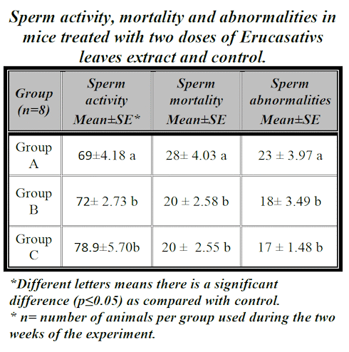 Arugula | Testosterone from your vegetable garden
