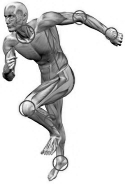 Extra high growth hormone peak with clever interval training