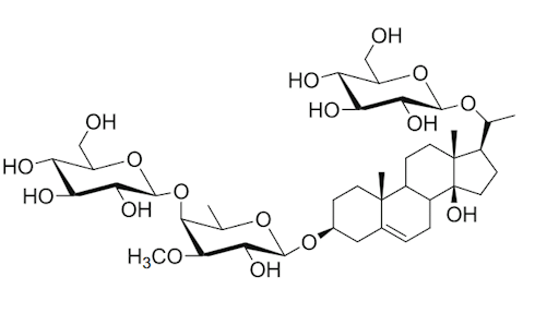 Are you slowly but surely getting fatter? Caralluma fimbriata stabilizes your body weight