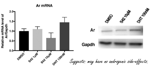 S42, the Japanese fat loss SARM