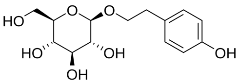 Combining rhodiola with caffeine increases explosive power
